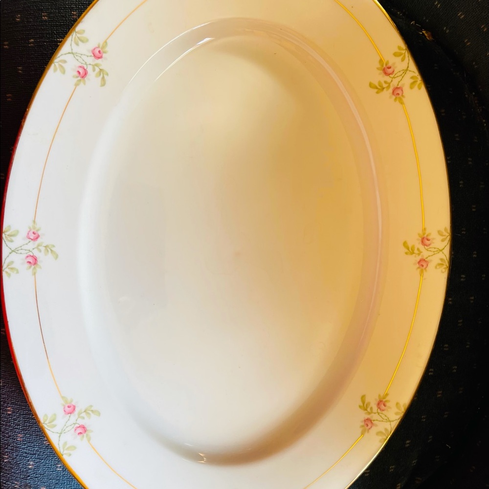 MZ Austria antique double gold trimmed plate